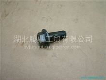 東風(fēng)天龍雷諾發(fā)動(dòng)機(jī)高壓共軌油軌限壓閥（1110010028）詳解 價(jià)格、圖片與配件廠家指南